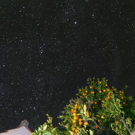 "Villa Servanda " - Relax, Nature, Wide Views Of The Sea And A Starry Sky Puntagorda Exteriör bild