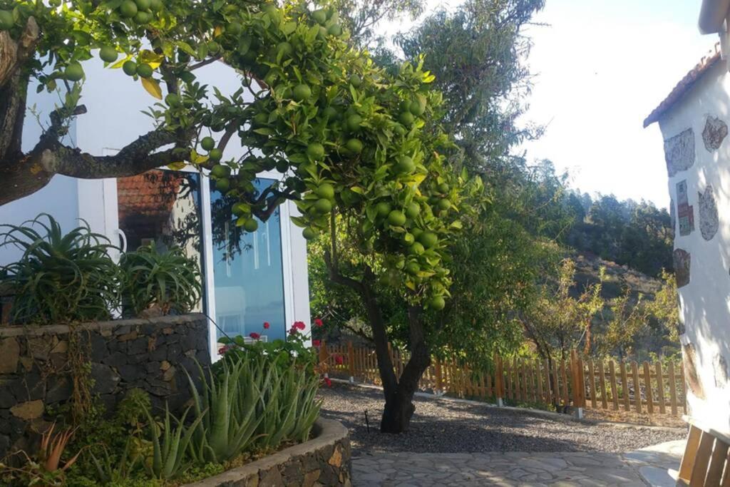 "Villa Servanda " - Relax, Nature, Wide Views Of The Sea And A Starry Sky Puntagorda Exteriör bild