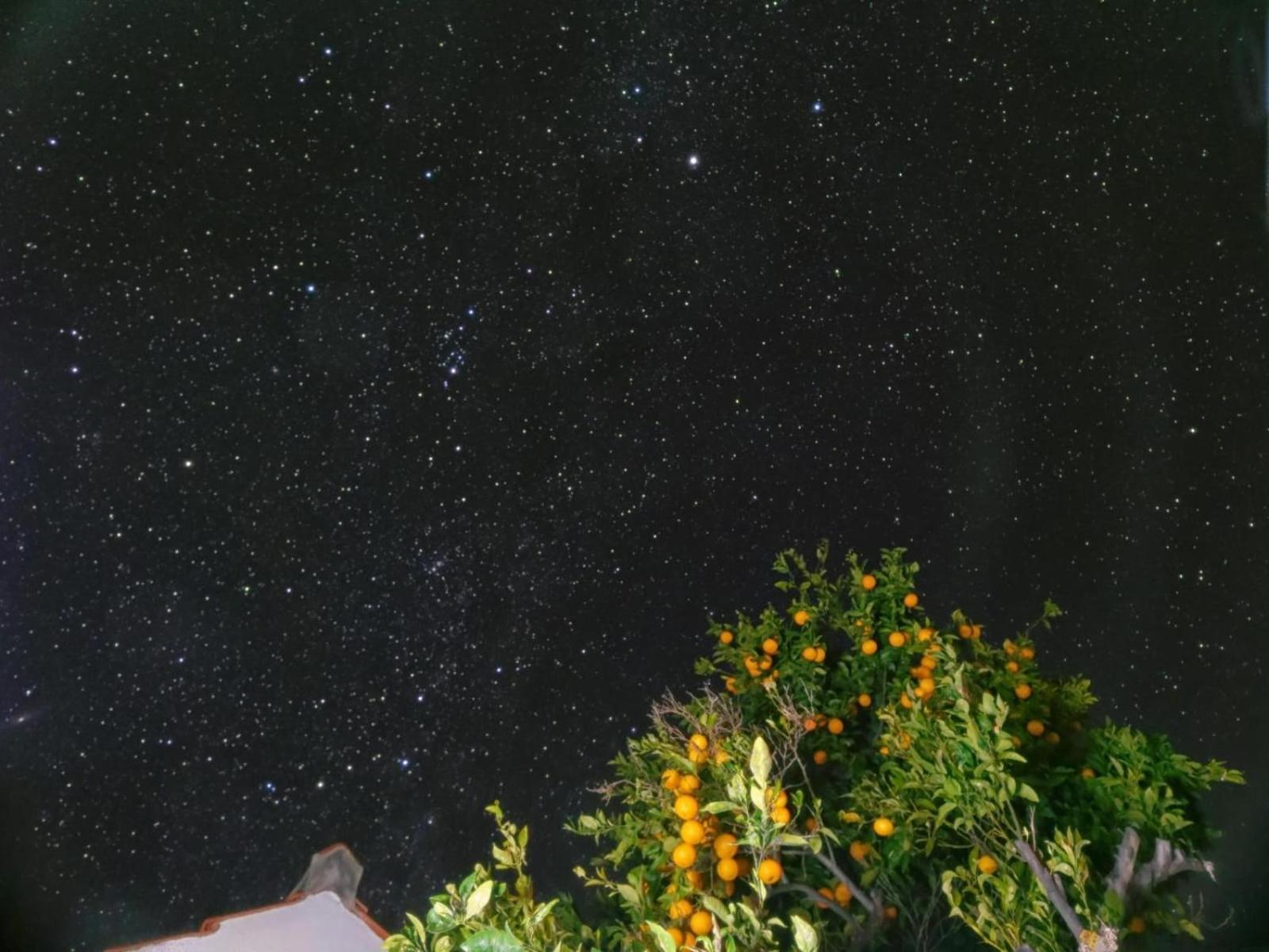 "Villa Servanda " - Relax, Nature, Wide Views Of The Sea And A Starry Sky Puntagorda Exteriör bild